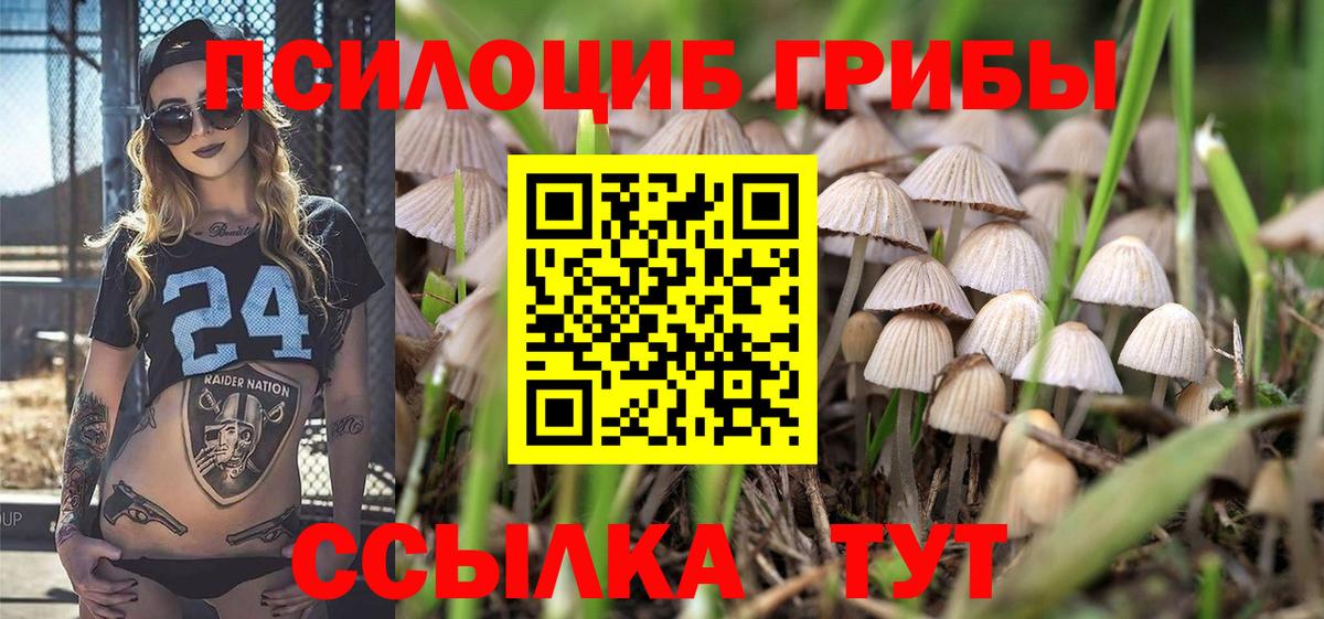 Галлюциногенные грибы Psilocybine cubensis  Вход с VPN  Полысаево  Псилоцибиновые грибы Magic Shrooms 